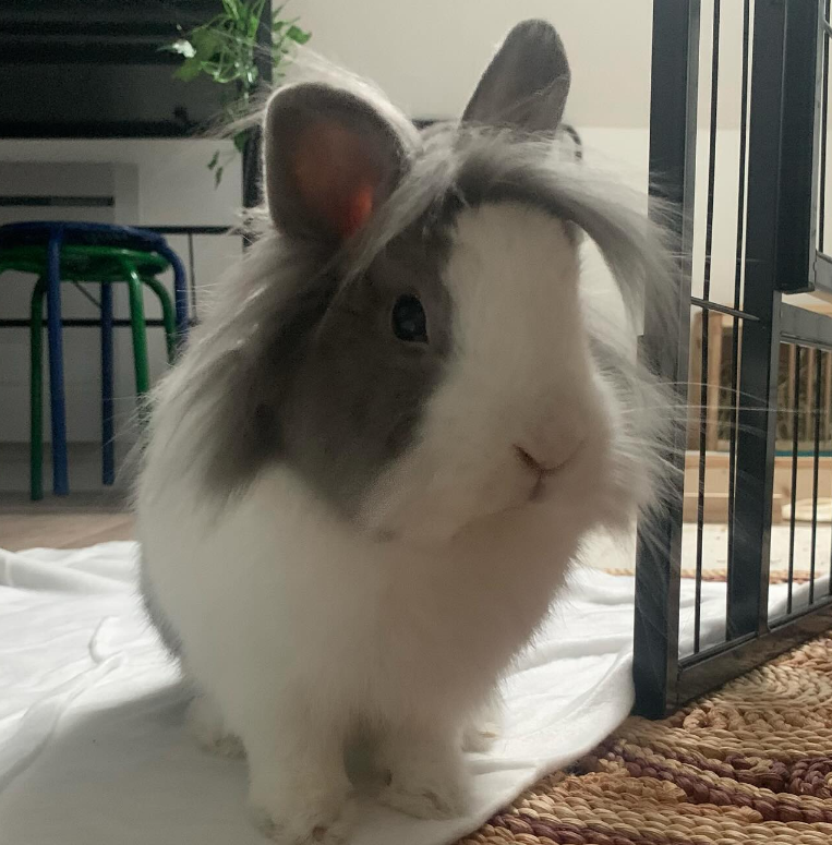 Appareil photo de Lucie