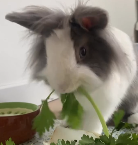 Appareil photo de Lucie