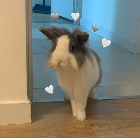 Portrait photo de Lucie